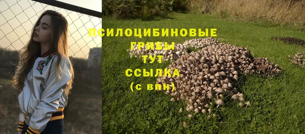 трава Армянск
