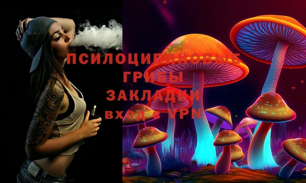 молекула духа Аркадак
