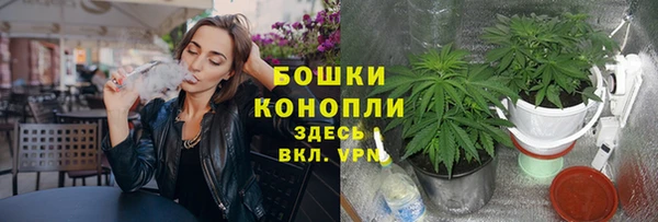 МДПВ Семикаракорск