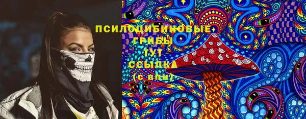 молекула духа Аркадак