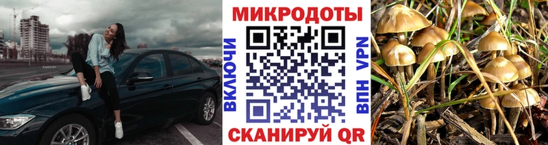 мега ссылки  купить наркоту  Рыбное  Галлюциногенные грибы мухоморы 